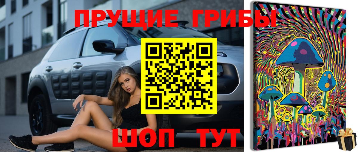 Ржев  Псилоцибиновые грибы мухоморы  Вход с VPN 
